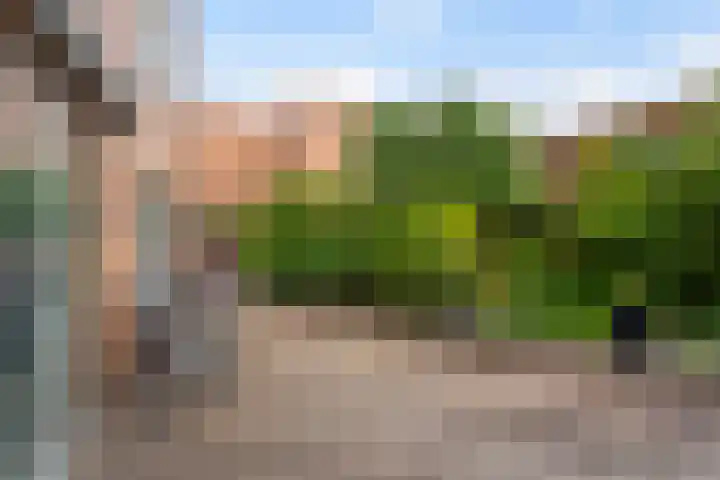 Laan op Zuid 398 Rotterdam thumbnail 16