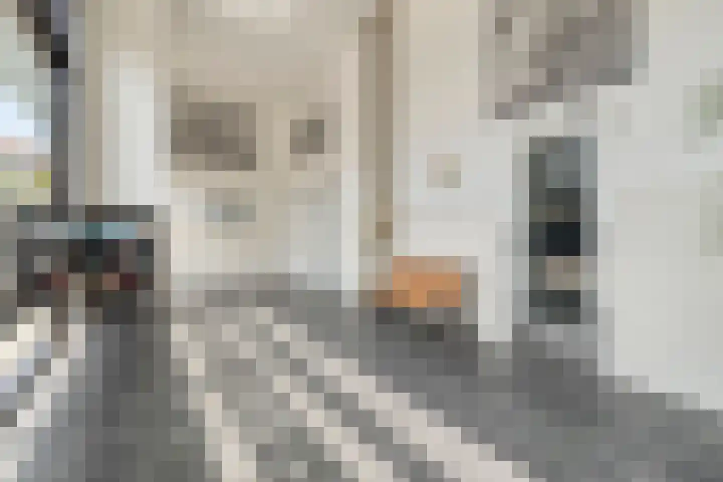 Laan op Zuid 522 Rotterdam thumbnail 25
