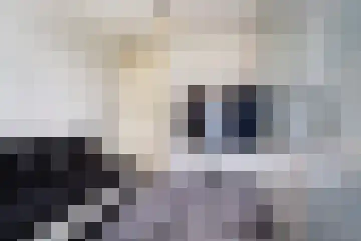 Laan op Zuid 586 Rotterdam thumbnail 12