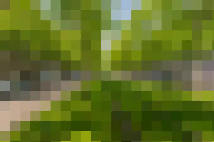 Laan op Zuid 586 Rotterdam thumbnail 27