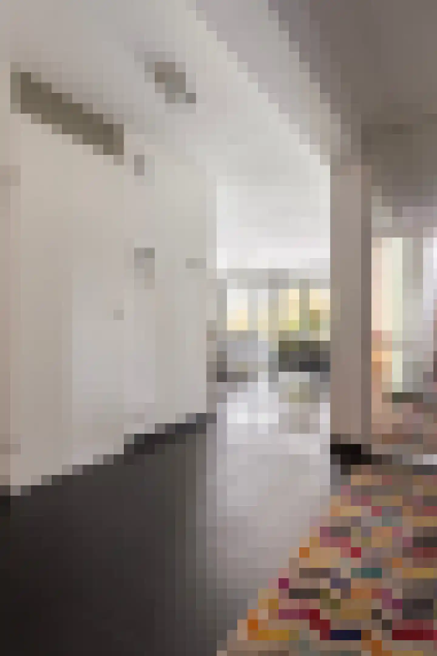 Laan op Zuid 616 Rotterdam thumbnail 20