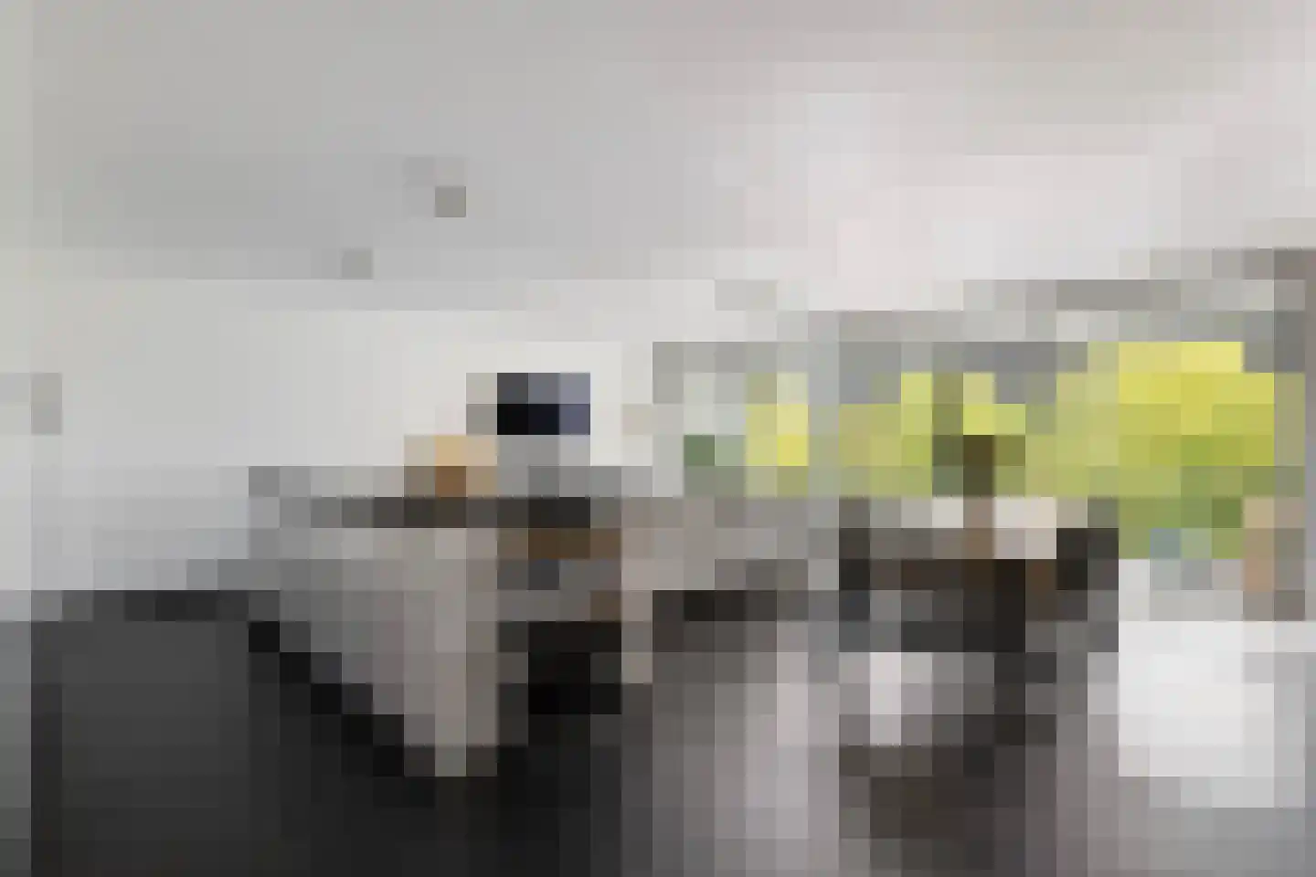Laan op Zuid 616 Rotterdam thumbnail 5