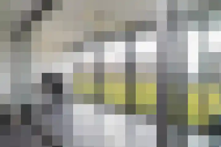 Laan op Zuid 702 Rotterdam thumbnail 18