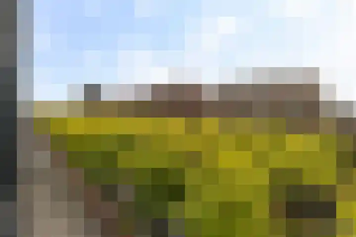Laan op Zuid 702 Rotterdam thumbnail 19