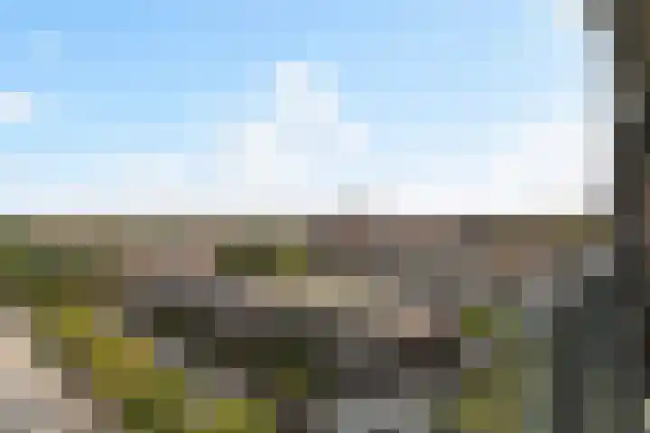 Laan op Zuid 702 Rotterdam thumbnail 4