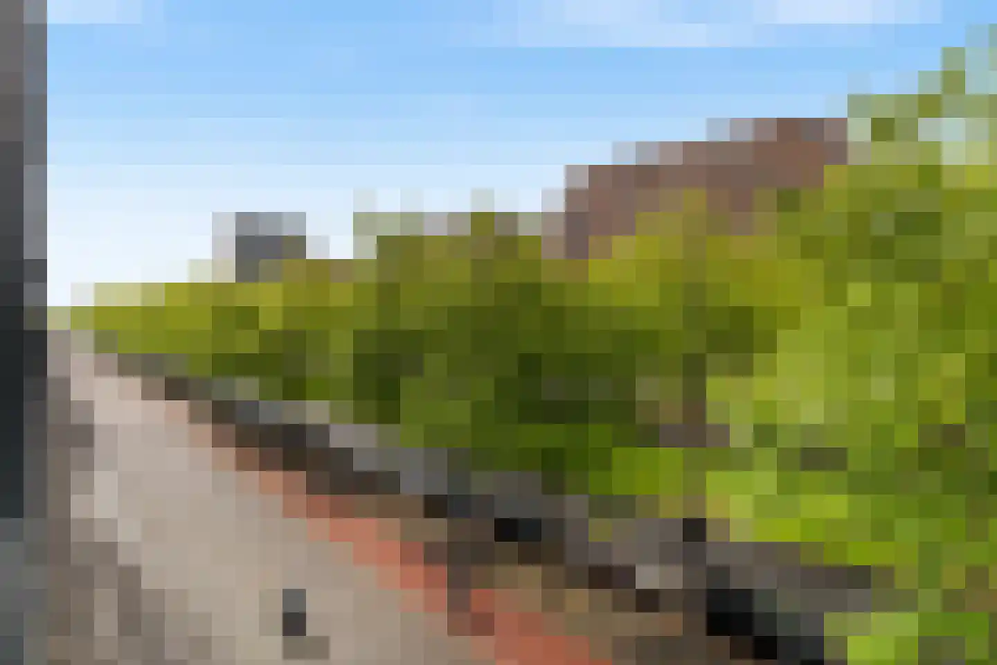 Laan op Zuid 734 Rotterdam thumbnail 19