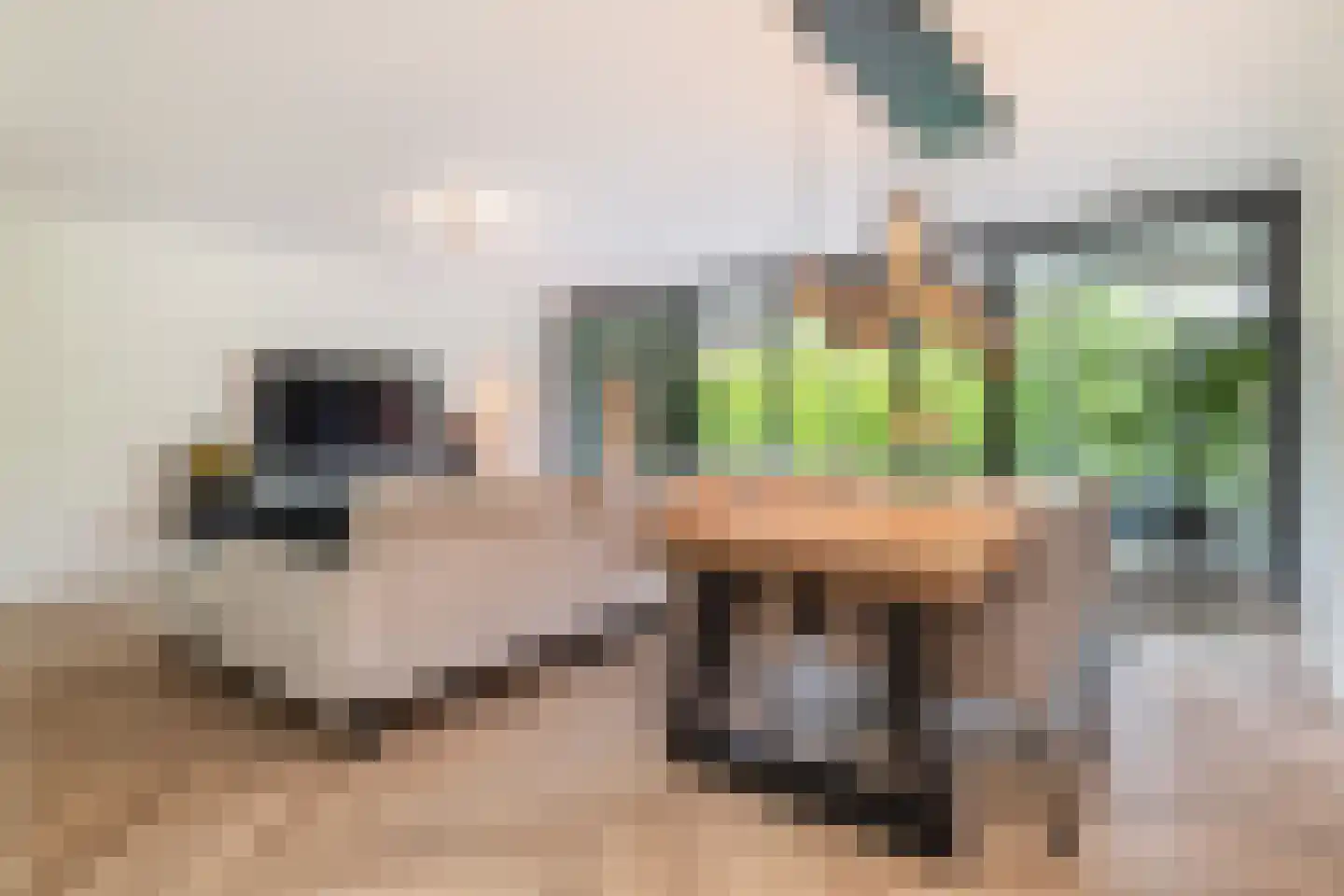 Laan op Zuid 734 Rotterdam thumbnail 4