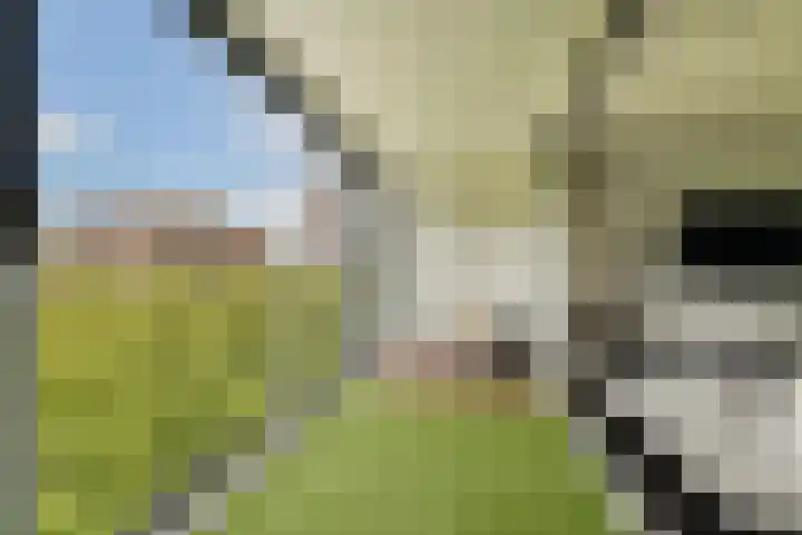 Laan op Zuid 752 Rotterdam thumbnail 14
