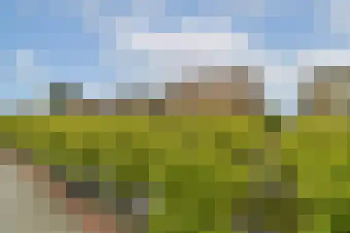 Laan op Zuid 752 Rotterdam thumbnail 16