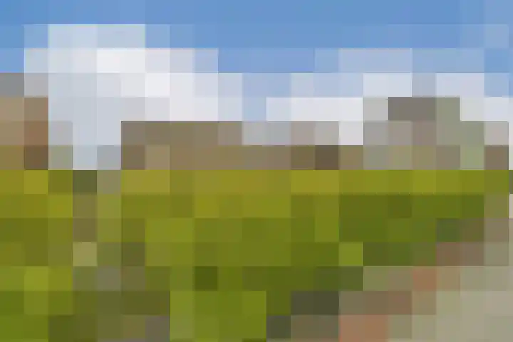 Laan op Zuid 752 Rotterdam thumbnail 17