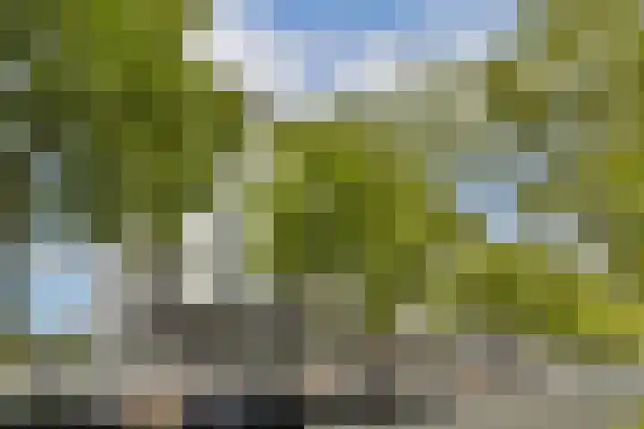 Laan op Zuid 752 Rotterdam thumbnail 18