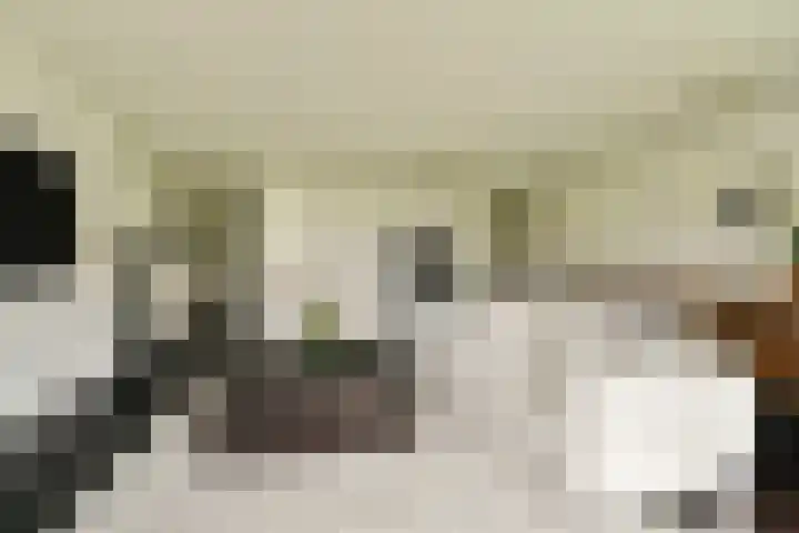 Laan op Zuid 752 Rotterdam thumbnail 5