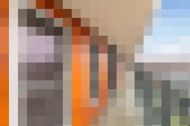 Laan op Zuid 828 Rotterdam thumbnail 19