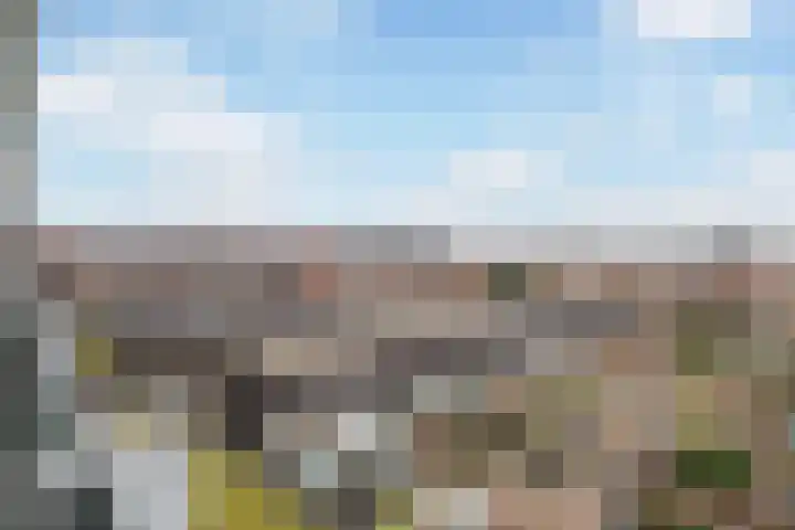 Laan op Zuid 828 Rotterdam thumbnail 20