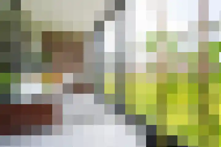 Laan op Zuid 830 Rotterdam thumbnail 20