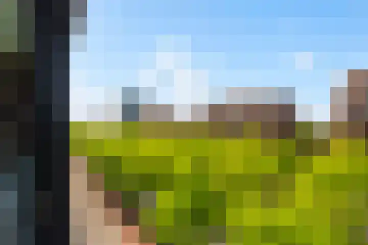 Laan op Zuid 830 Rotterdam thumbnail 21