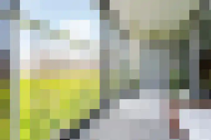 Laan op Zuid 830 Rotterdam thumbnail 22