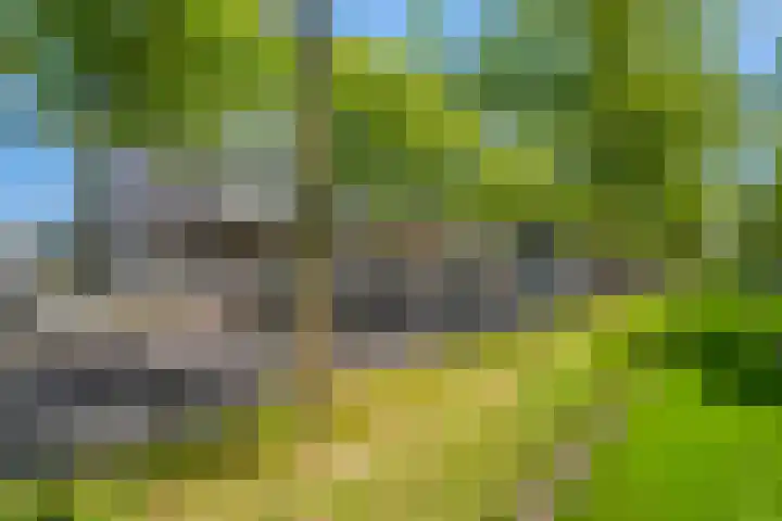 Laan op Zuid 830 Rotterdam thumbnail 25