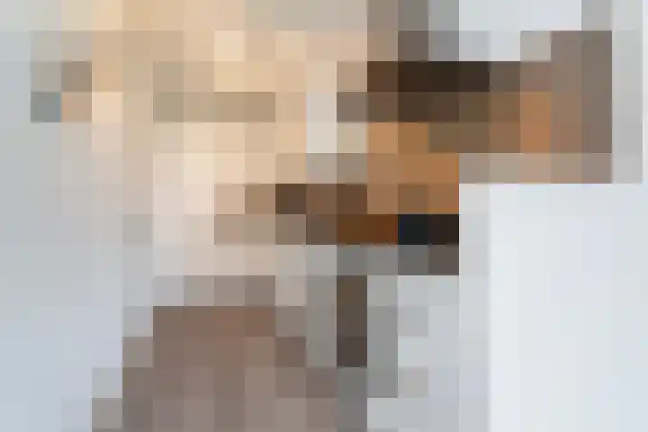 Laan op Zuid 830 Rotterdam thumbnail 8