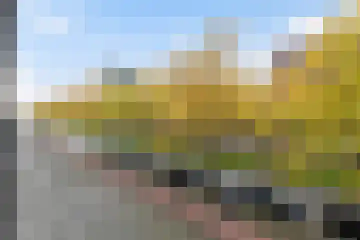 Laan op Zuid 850 Rotterdam thumbnail 15