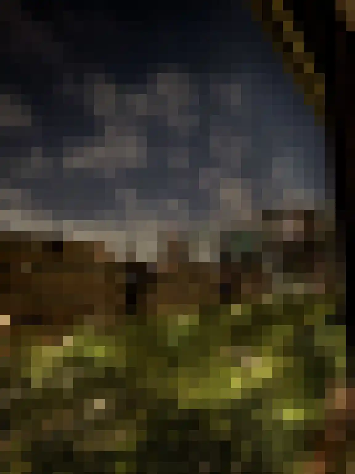 Laan op Zuid 890 Rotterdam thumbnail 16