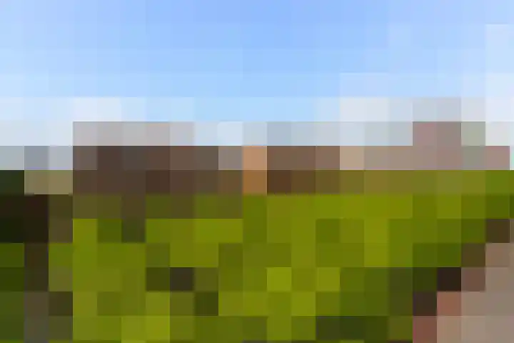 Laan op Zuid 958 Rotterdam thumbnail 10