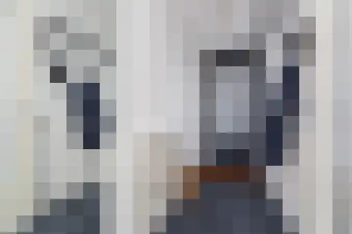 Laan op Zuid 958 Rotterdam thumbnail 21