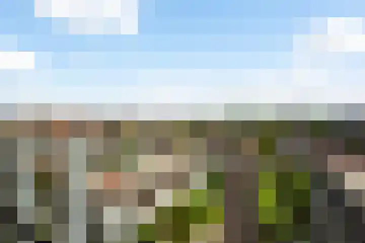 Laan op Zuid 958 Rotterdam thumbnail 23