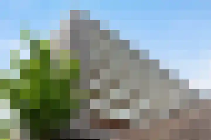 Laan op Zuid 958 Rotterdam thumbnail 25
