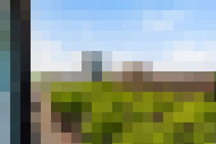 Laan op Zuid 958 Rotterdam thumbnail 9