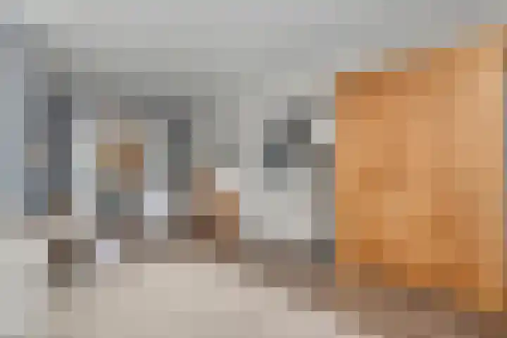Laan oud-Indiëgangers 34 Rijssen thumbnail 13
