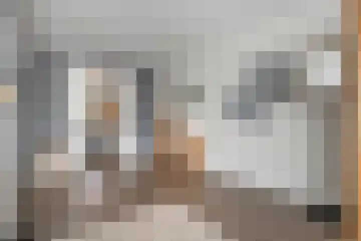Laan oud-Indiëgangers 34 Rijssen thumbnail 15