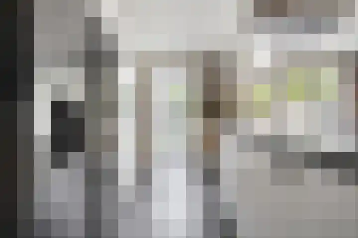 Laan oud-Indiëgangers 34 Rijssen thumbnail 21