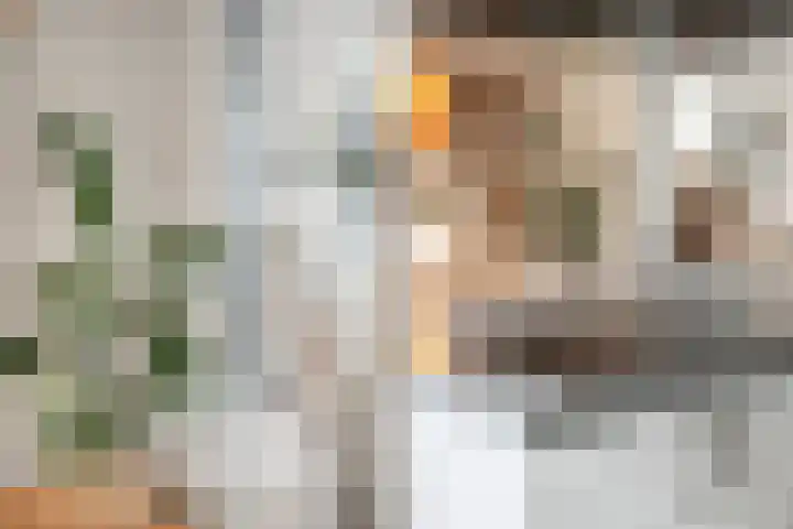 Laan oud-Indiëgangers 34 Rijssen thumbnail 22