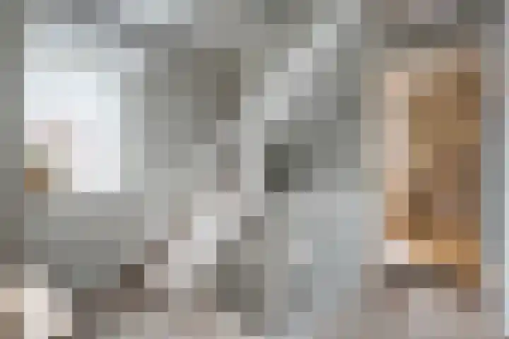Laan oud-Indiëgangers 34 Rijssen thumbnail 23