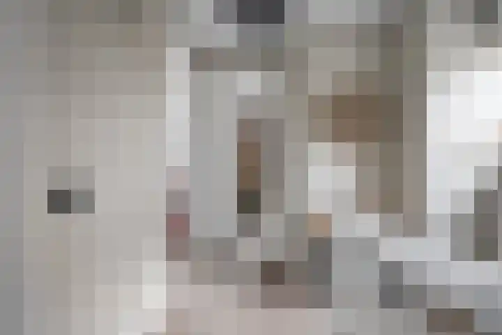 Laan oud-Indiëgangers 34 Rijssen thumbnail 24