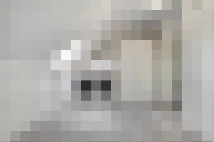 Laan oud-Indiëgangers 34 Rijssen thumbnail 39