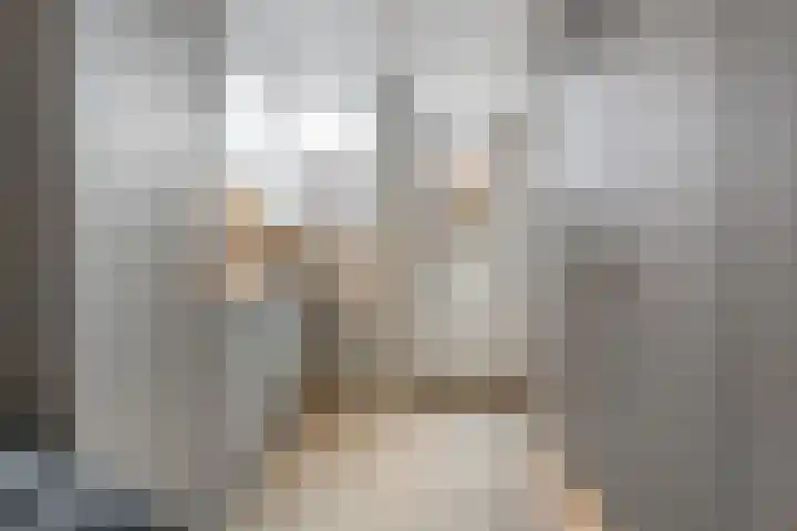 Laan oud-Indiëgangers 34 Rijssen thumbnail 42