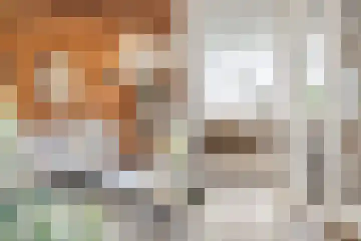 Laan oud-Indiëgangers 34 Rijssen thumbnail 43