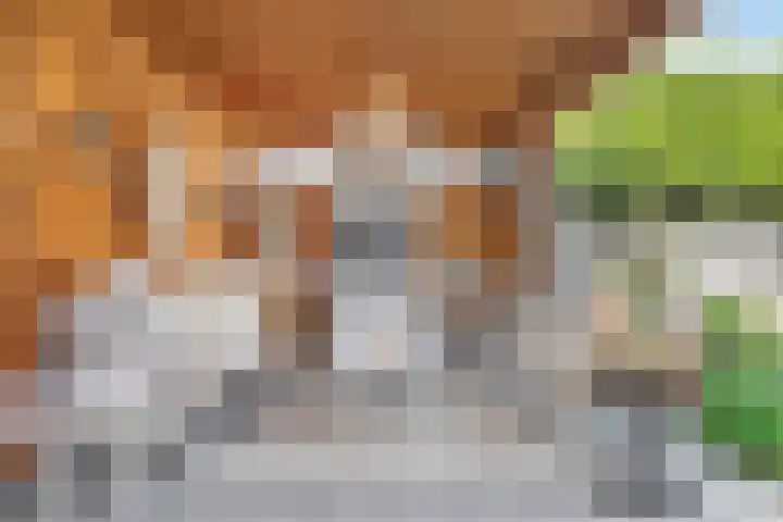 Laan oud-Indiëgangers 34 Rijssen thumbnail 44