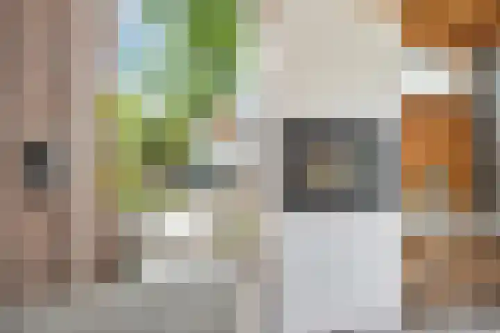 Laan oud-Indiëgangers 34 Rijssen thumbnail 49