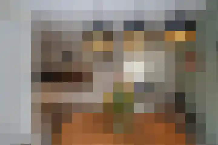Laan oud-Indiëgangers 80 Rijssen thumbnail 11