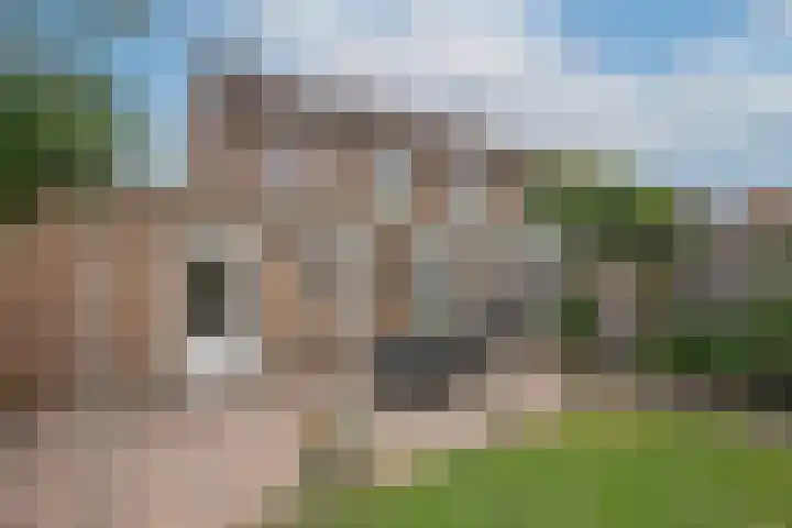 Laan oud-Indiëgangers 80 Rijssen thumbnail 29