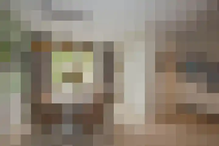 Laan oud-Indiëgangers 80 Rijssen thumbnail 8