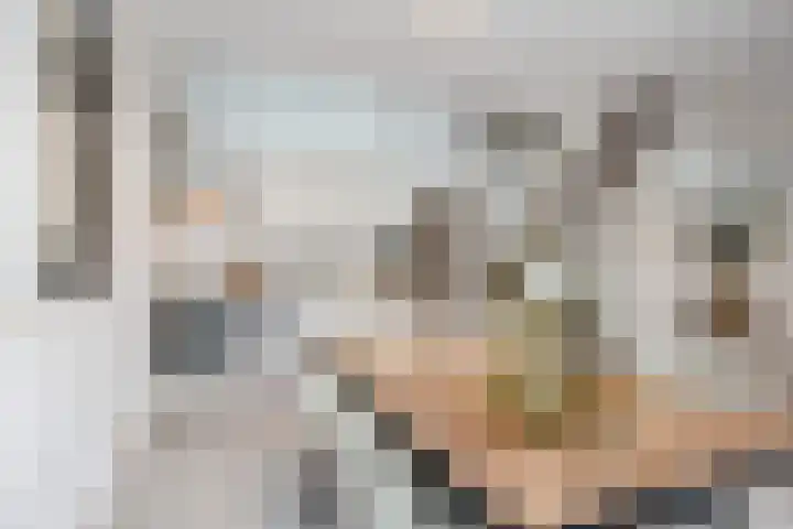 Laan te Blotinghe 5 Rijswijk thumbnail 14