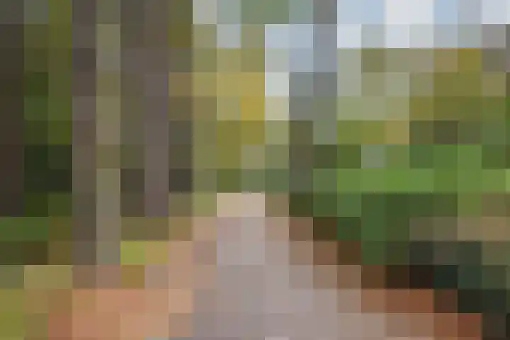 Laan te Blotinghe 5 Rijswijk thumbnail 34