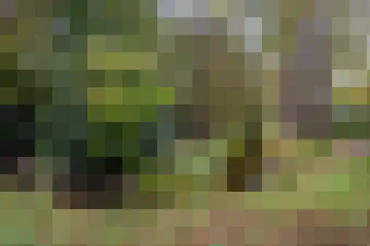 Laan te Blotinghe 5 Rijswijk thumbnail 35
