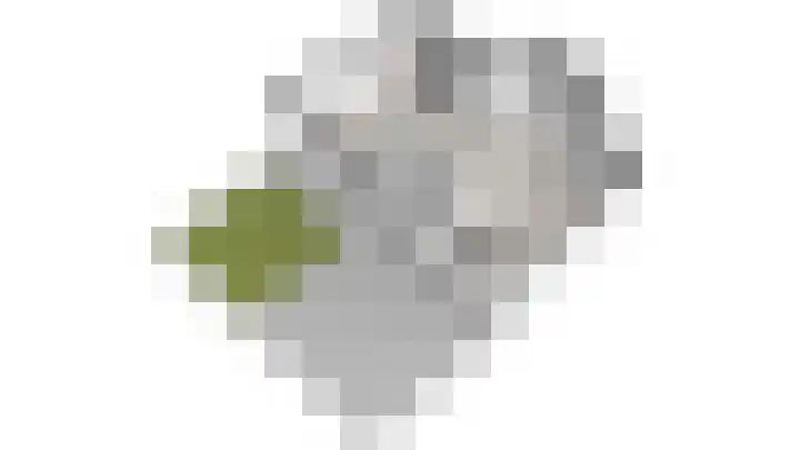 Laan te Blotinghe 5 Rijswijk thumbnail 41