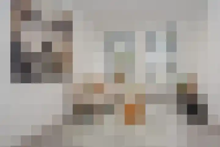 Laan te Blotinghe 5 Rijswijk thumbnail 5