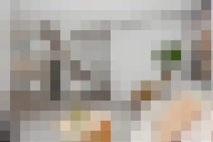 Laan te Blotinghe 5 Rijswijk thumbnail 7